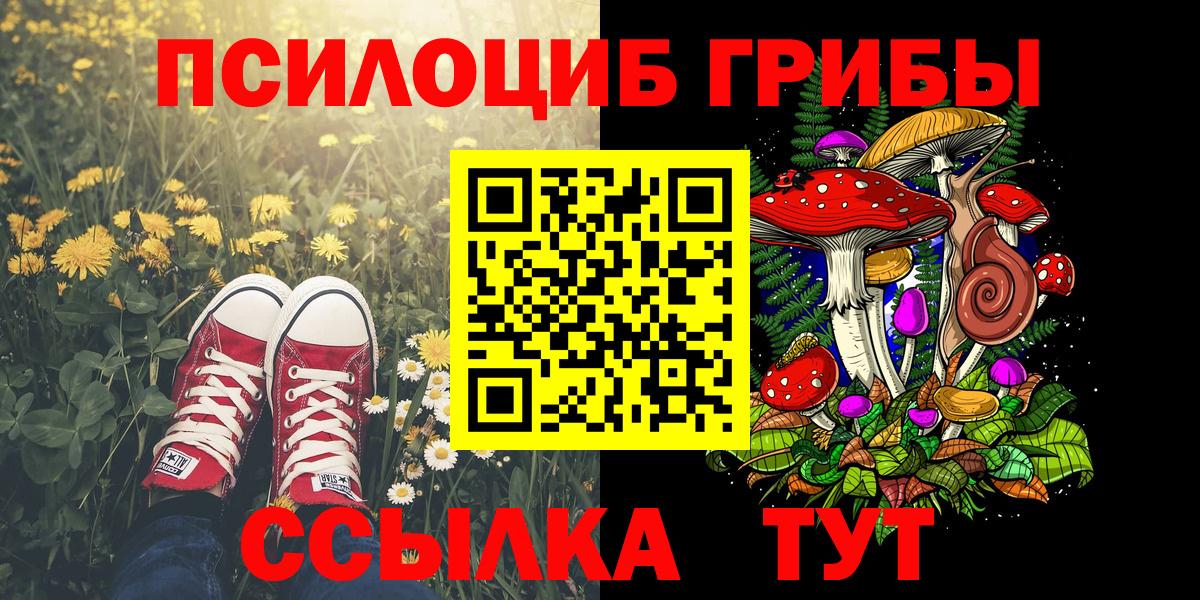 хочу наркоту  Нижнеудинск  Псилоцибиновые грибы GOLDEN TEACHER 