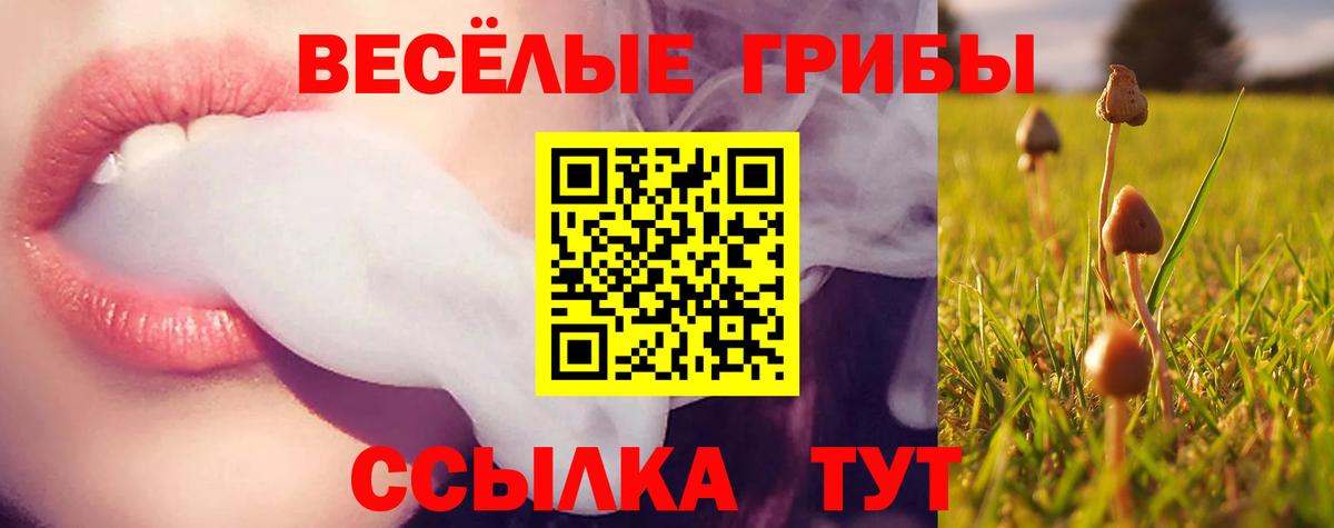Нижнеудинск  магазин продажи   Вход с VPN  Псилоцибиновые грибы прущие грибы  Галлюциногенные грибы Magic Shrooms 